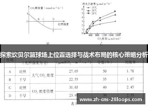 探索坎贝尔篮球场上位置选择与战术布局的核心策略分析 探索坎贝尔篮球场上位置选择与战术布局的核心策略分析