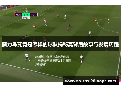 魔力鸟究竟是怎样的球队揭秘其背后故事与发展历程