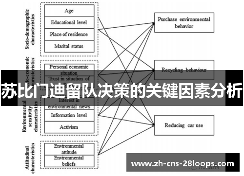 苏比门迪留队决策的关键因素分析