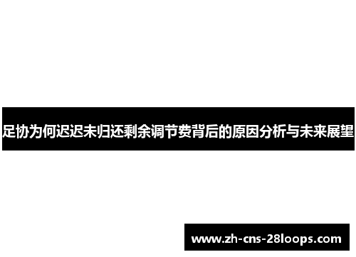 足协为何迟迟未归还剩余调节费背后的原因分析与未来展望