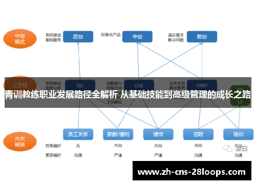 青训教练职业发展路径全解析 从基础技能到高级管理的成长之路
